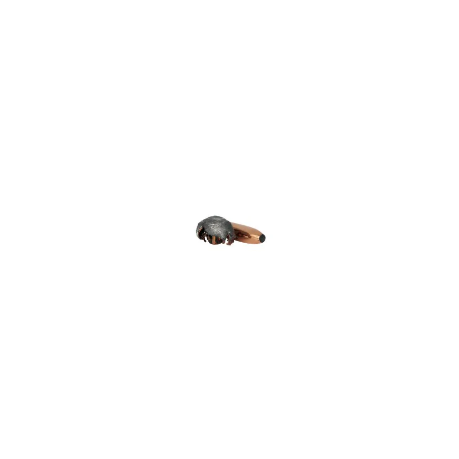 Miniatyrbild 1